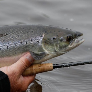 Foto de pesca con mosca