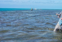  Giant Trevally - GT – Situación de Pesca con Mosca – Por Fergus Kelley