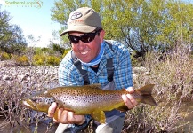 Fly-fishing Image of brown trout shared by Esteban Urban – Fly dreamers