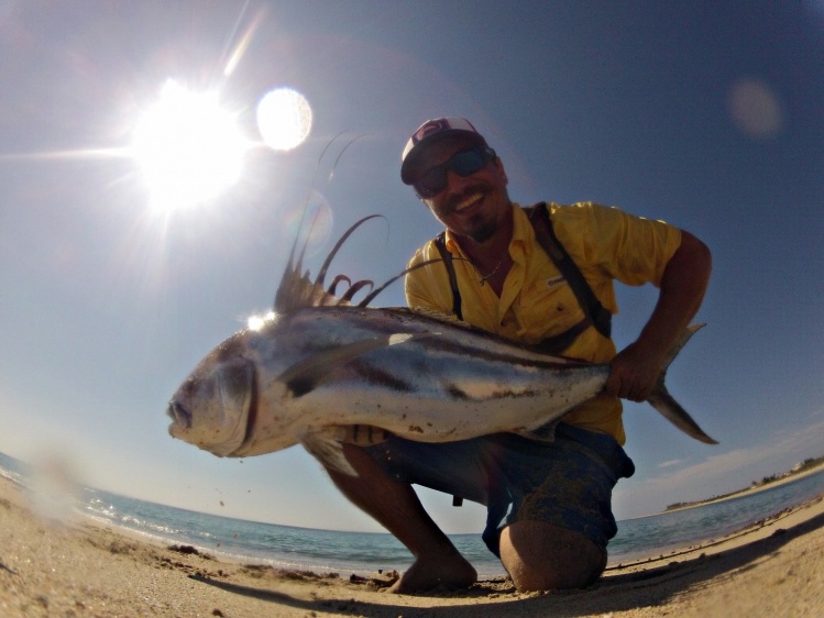 Trophy roosterfish on the fly from the beach, BCS.