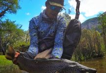 Karim Jodor 's Fly-fishing Picture of a Salmo fario – Fly dreamers 