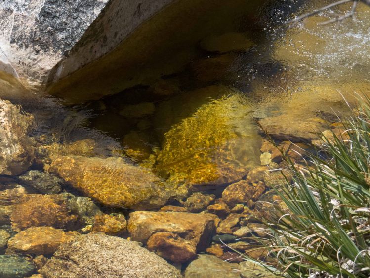 See the Rainbow at the centre of the picture on this Cape stream