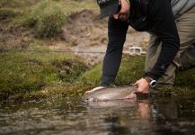  Foto de Pesca con Mosca de trucha fontinalis compartida por Juan Manuel Biott – Fly dreamers