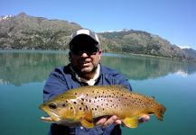 Chelo . 's Fly-fishing Photo of a European brown trout – Fly dreamers 