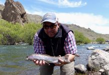 Chelo . 's Fly-fishing Pic of a Rainbow trout – Fly dreamers 