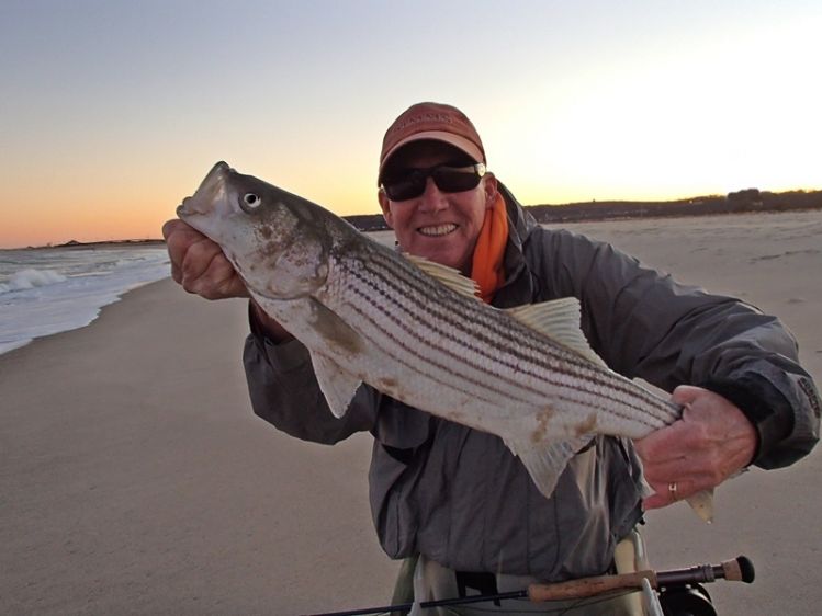 A nice November day on the surf in NJ. After a storm they were a little hard to find but persistence pays off. Ate a grey/white/pink Clouser, hard fight in the big surf and howling NW wind.