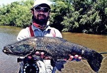  Situación de Pesca con Mosca de Blue wolf fish – Fotografía por Alejandro Milesi en Fly dreamers