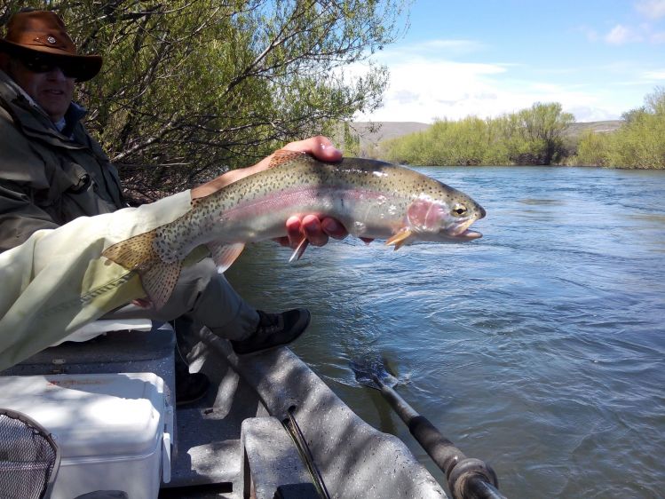 Rio Chimehuin, Junin de los Andes, Neuquen, Argentina