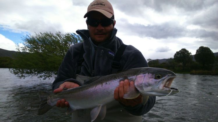 Arco del limay superior