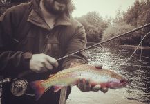Fly-fishing Picture of Rainbow trout shared by Alejandro Mora – Fly dreamers