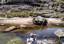  Situación de Pesca con Mosca de Trucha arcoiris – Por Marcelo Rubio en Fly dreamers
