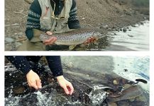 English trout Fly-fishing Situation – Leandro Herrainz shared this Photo in Fly dreamers 