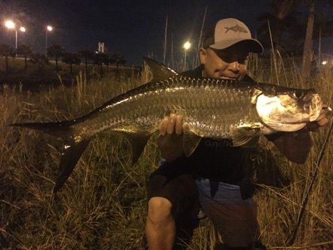 Freshwater tarpon, caught over 25 miles inland on my 9wt. Mami, Florida