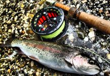 Uros Kristan 's Fly-fishing Catch of a Rainbow trout – Fly dreamers 