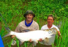 Fly-fishing Picture of Tarpon shared by John Kelly – Fly dreamers