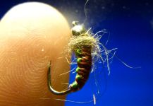 Fly-tying for Rainbow trout -  Image shared by Carlos Estrada – Fly dreamers