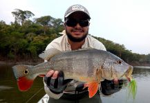  Interesante Situación de Pesca con Mosca de Tucunare - Pavón – Por Marco Aurélio en Fly dreamers