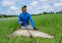 Arapaima Fly-fishing Situation – Rafael Costa shared this Interesting Pic in Fly dreamers 