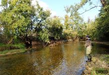  Fly-fishing Situation of von Behr trout - Photo shared by Uros Kristan from Planina pri Rakeku – Fly dreamers 