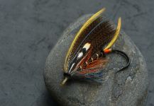 Sven Axelsson 's Fly-tying for Smolt - Image – Fly dreamers 