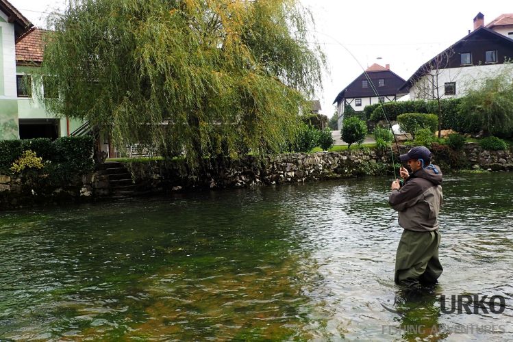 Picturesque surroundings and fish on ... What more could you wish for?