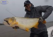  Fotografía de Pesca con Mosca de Dorados por Pablo Nicolás Chapero – Fly dreamers 