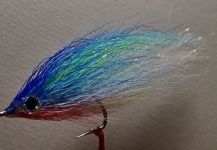Fly-tying for Striper -  Image shared by Jack Denny – Fly dreamers