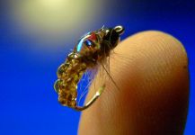 Fly-tying for Rainbow trout - Photo shared by Carlos Estrada – Fly dreamers 