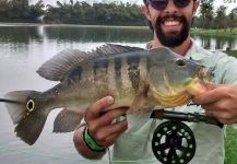 Great Fly-fishing Situation of Peacock Bass - Picture shared by Guímel Cursino – Fly dreamers