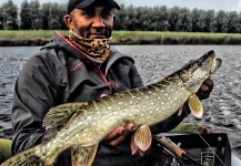 Thomas & Thomas Fine Fly Rods 's Fly-fishing Image of a Pike – Fly dreamers 