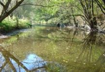 Christian Rinsche 's Fly-fishing Pic of a Lady of the river – Fly dreamers 