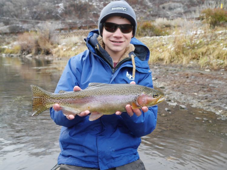 Provo river rainbow growing fat on brown trout eggs.