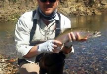 Guillermo Biasola 's Fly-fishing Photo of a Rainbow trout – Fly dreamers 