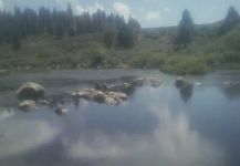 Truckee River  / Owens River -2013 -