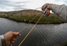  Trucha arcoiris – Interesante Situación de Pesca con Mosca – Por G Y W