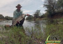 Great Fly-fishing Situation of Tigerfish shared by Oliver Otto 