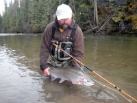 Bob Clay with a Kispiox Steelhead.