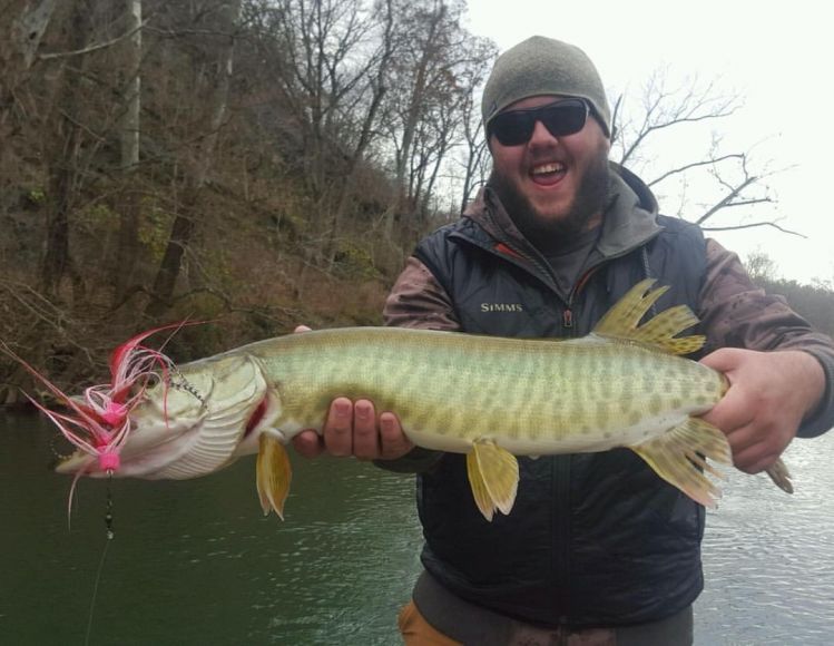 Caught my first musky on Thanksgiving day. 