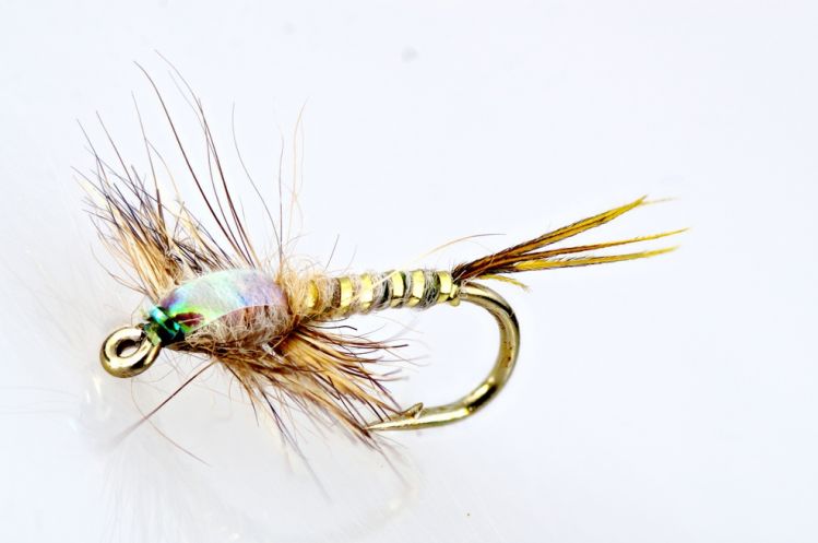 This is a Right Hackle fly where the hackles are loosely basted to the bottom of the fly with one figure eight wrap. And then glued in place with UV glue, CA glue or water based fabric cement.