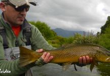  Foto de Pesca con Mosca de Trucha marrón compartida por Antonio Napolitano – Fly dreamers