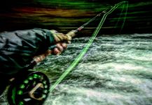Fly-fishing Situation of Steelhead - Photo shared by Sam Brost-Turner – Fly dreamers 