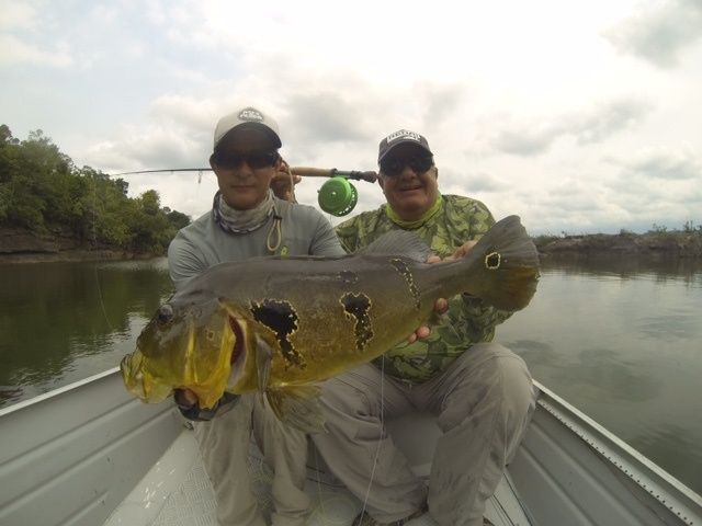 Mr. Gerson Kavamoto and myself with a 12 pound Açu-pinima at Tapajós river, Amazon, Brazil.
That was my birthday present.