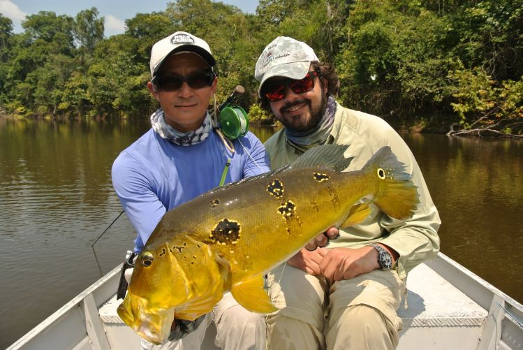 Gerson Kavamoto and Ecolodge da Barra's head guide Thiago Carrano with a nice Açú-pinima Peacock Bass at Tapajós river, Amazon Brazil