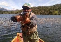 Fly-fishing Pic of English trout shared by Diego Morosoly – Fly dreamers 