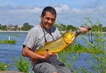 Fly-fishing Situation of Tiger of the River - Image shared by David Rodriguez – Fly dreamers