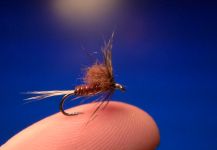 Fly-tying for Rainbow trout - Pic shared by Carlos Estrada – Fly dreamers 