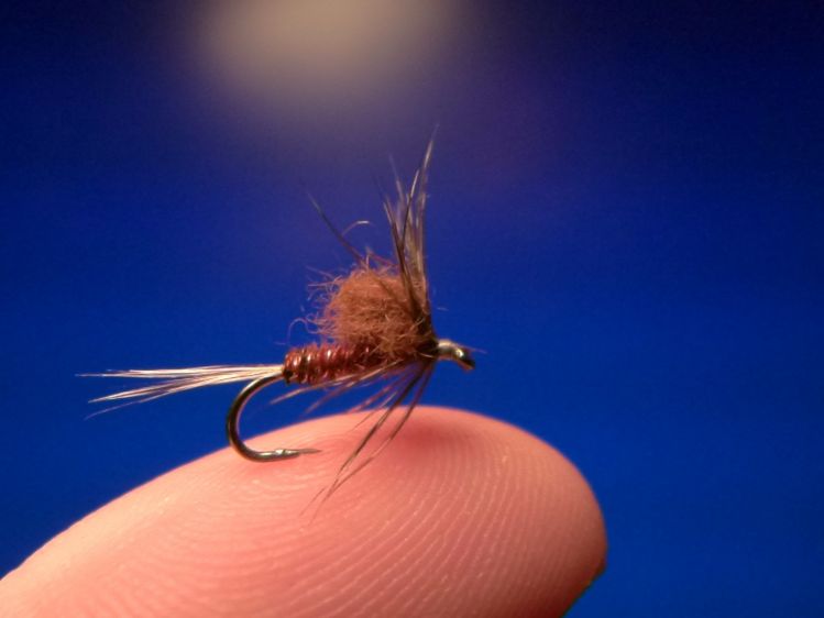 Soft hackle floating-nymph