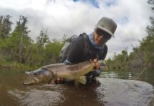 Fly-fishing Photo of Brownie shared by Karim Jodor – Fly dreamers 
