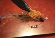 Fly for Redfish - Pic shared by David Bullard – Fly dreamers 