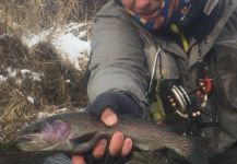 Colton Holden 's Fly-fishing Photo of a Rainbow trout – Fly dreamers 